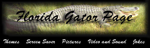 University of Florida Gator Page