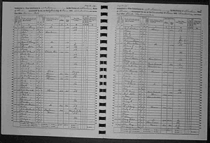1860 Census Pages