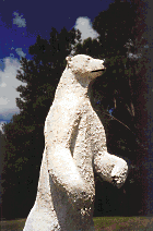 [Image
of a Bear]