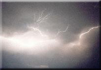 [Crawler lightning from Paynes Prairie
in southern Alachua County.]
