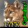  Lynx 