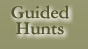 guided hunts