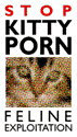 [IMAGE: Stop Kitty Porn!]