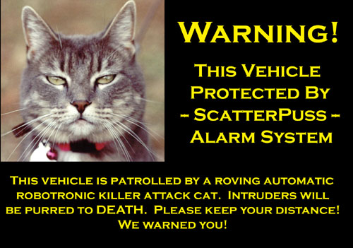 [ The alarm system warning displayed on my car ]