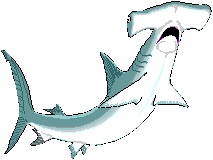 [Image of Shark]  