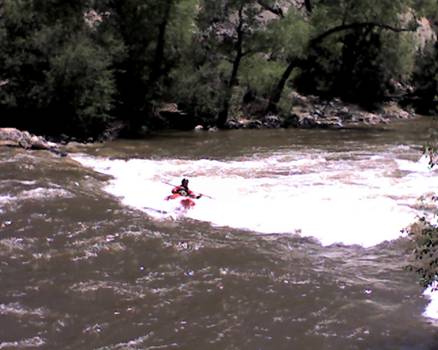 Arkansas River kayaking at Buena Vista June 2011.JPG