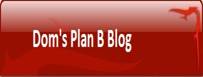 button Plan B Blog site.jpg