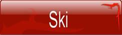 ski button