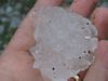 [103-0308_IMG.JPG - Guestimate for this hailstone is about 3-inches.]