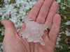 [103-0328_IMG.JPG - Guestimate for this hailstone is 3-inches.]
