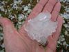 [103-0329_IMG.JPG - Guestimate for this hailstone is about 3.25- to 3.5-inches]