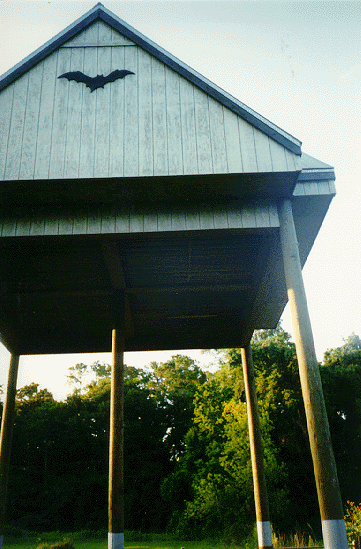 [Bat House Photo 2]